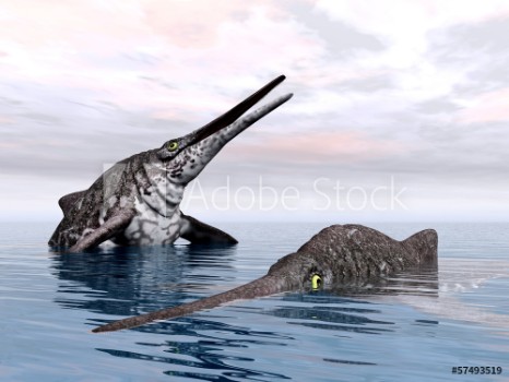 Picture of Ichthyosaur Shonisaurus